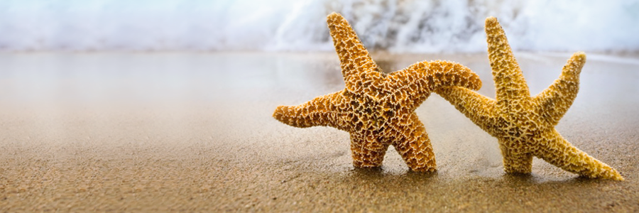slider_star slider_star